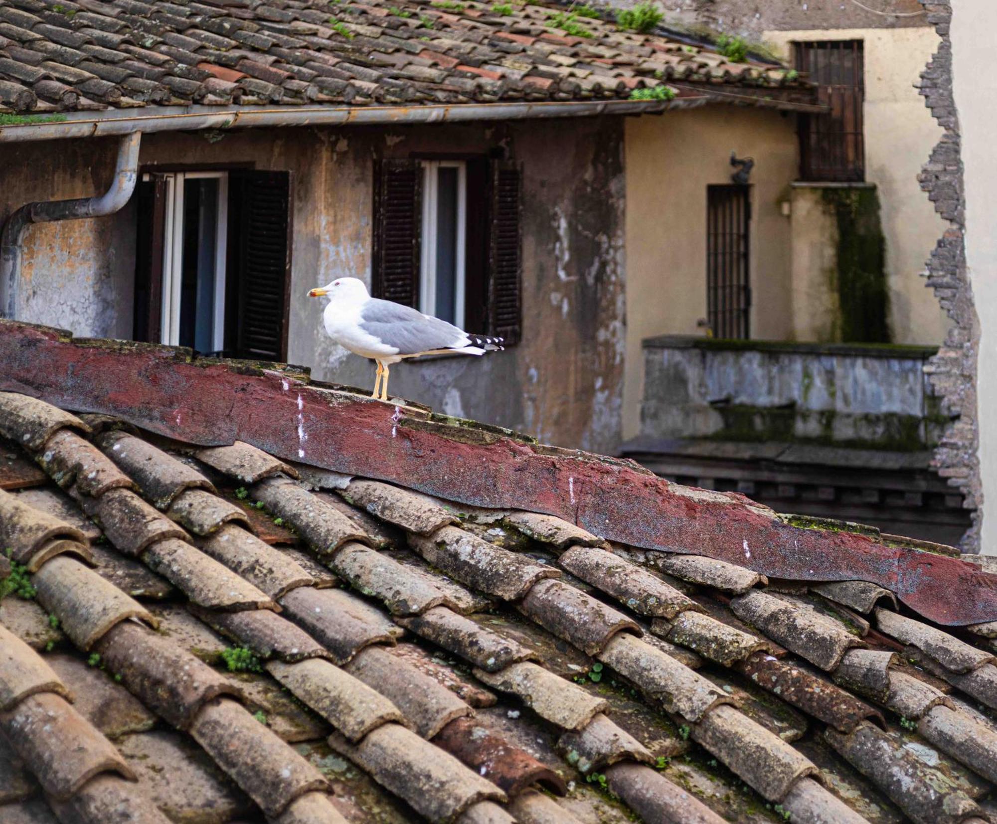 Casa De' Fiori Bed and breakfast